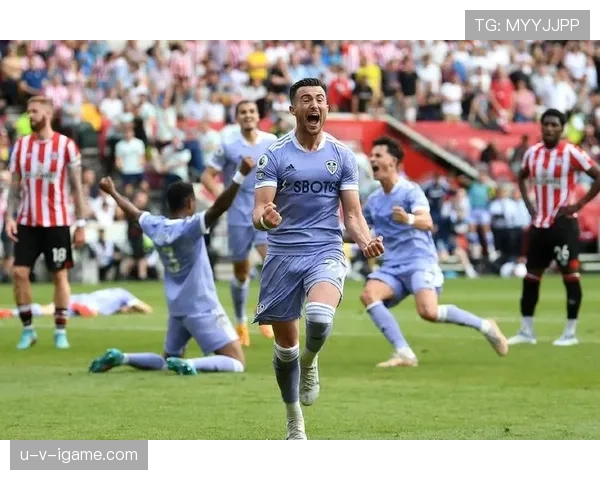 尼斯比赛精彩纷呈,球队展现顽强斗志赢得观众喝彩