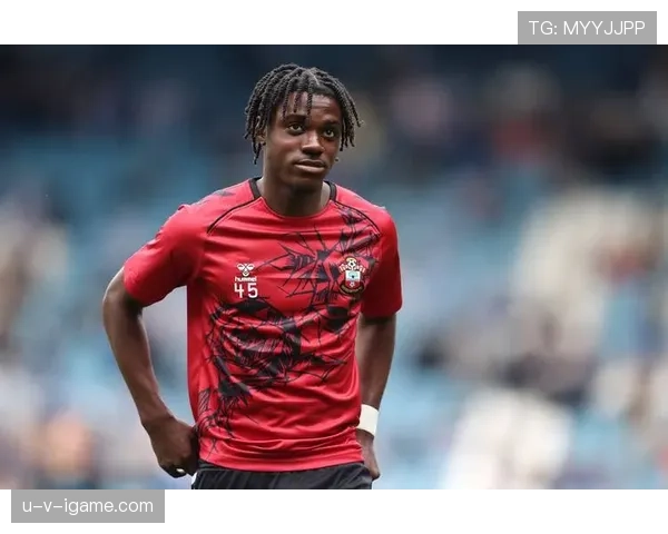 凯塞多新赛季全面爆发，技术与意志双提升状态火热